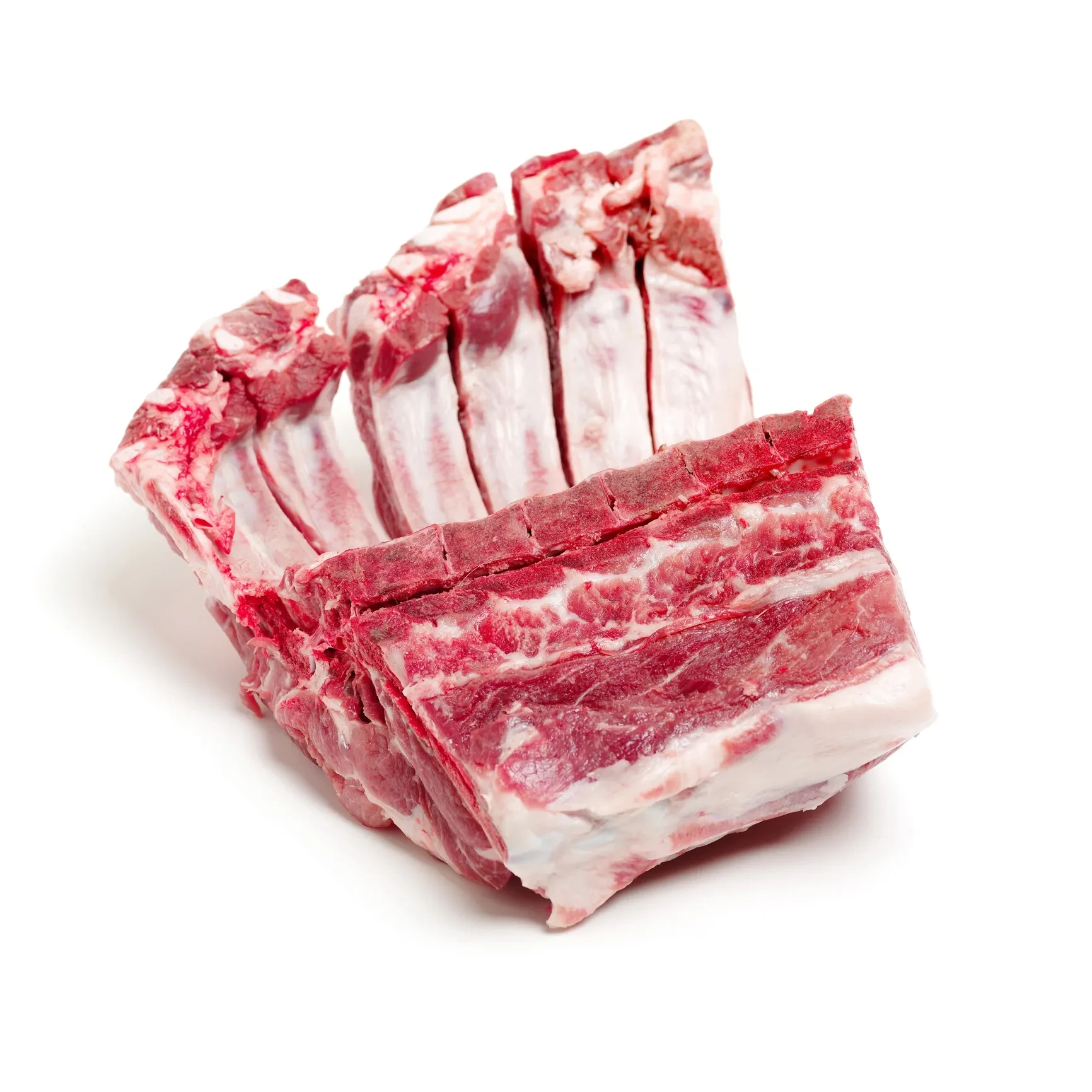 Lamb